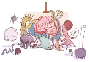 gut microbiome_brain